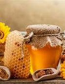 التعاونية الفلاحية لتربية النحل إيموزار