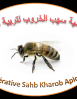 تعاونية سهب الخروب لتربية النحل