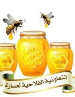 تعاونية لعسارة لتربية النحل وتسويق العسل